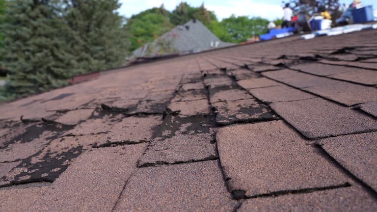 Best Emergency Roof Repair Services  in Walker, MI