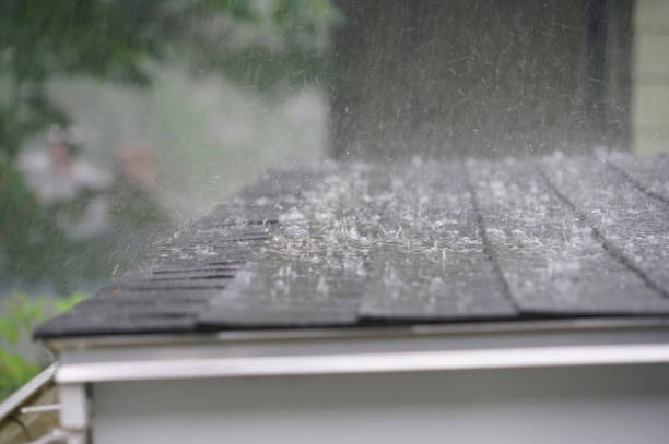 Best Rubber Roofing (EPDM, TPO)  in Walker, MI